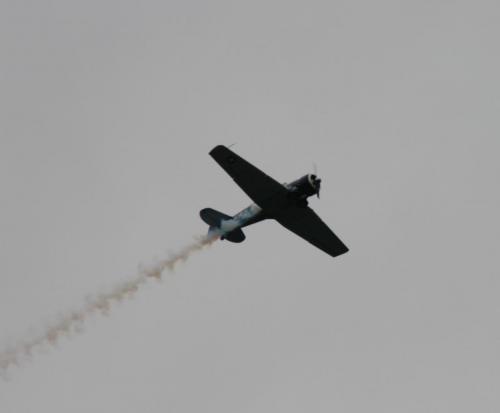 IMG_8665 1