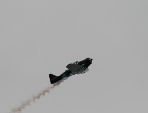 IMG_8667 1